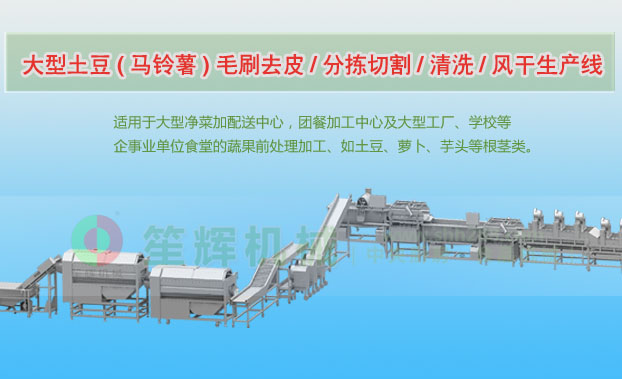 施甸连续式土豆去皮清洗切割风干生产线